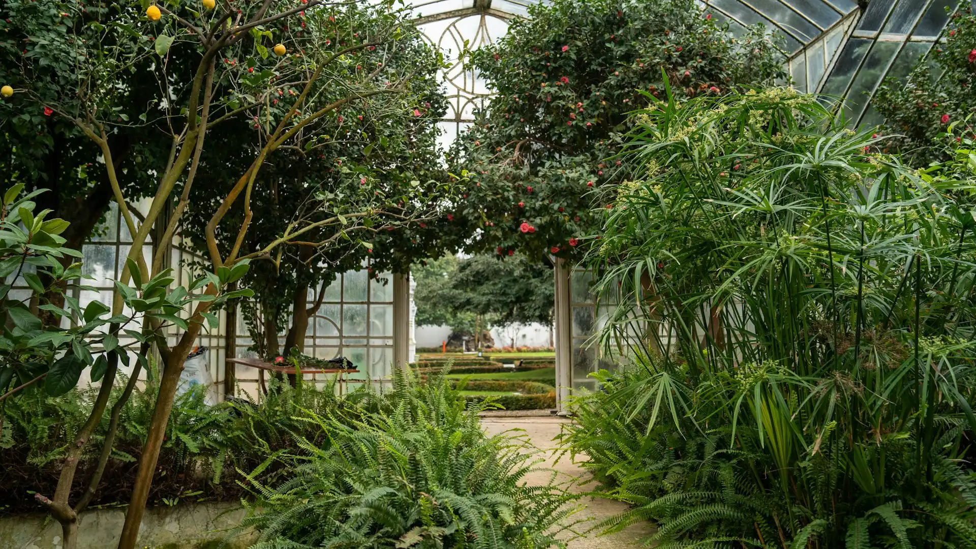 Royal Botanical Gardens - unsplash faruk-tokluoglu