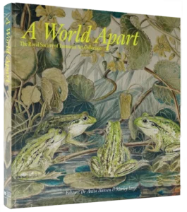 A world apart jacket for shop