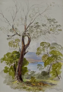 Francis Guillemard Simpkinson De Wesselow (1819 - 1906) In the Domain, Hobart Town (Van Diemens Land)