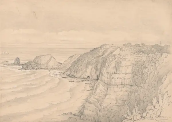 Louisa Anne Meredith. Cape Schanck, Victoria (1856)