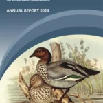 RST Annual Report 2024