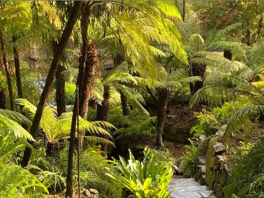 Royal Tas Botanical Gardens