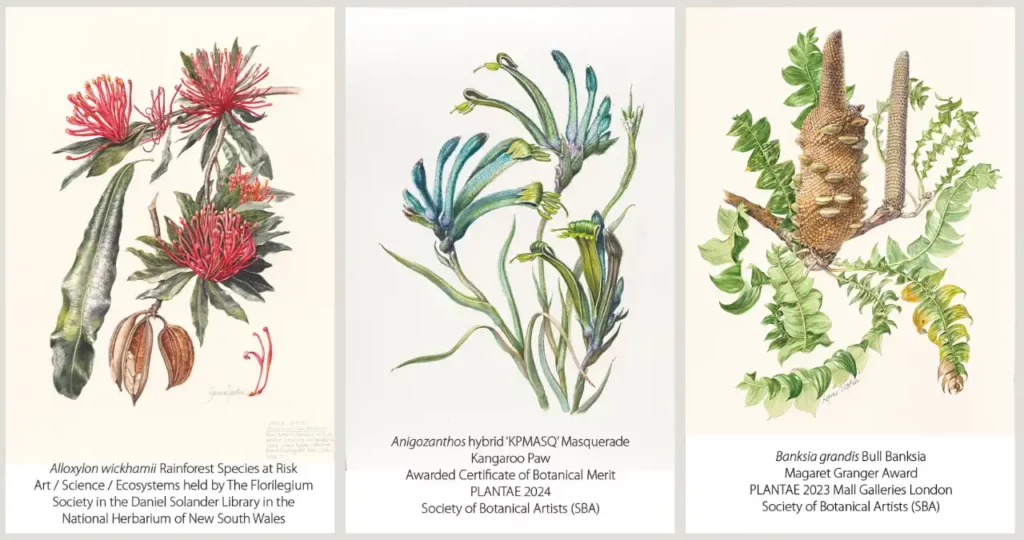 Some prizewinning artworks by Lynne Uptin (screenshot from the artist’s website).