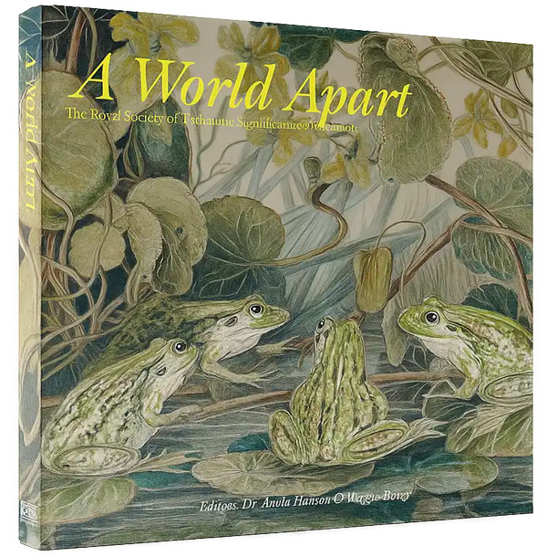 A World Apart