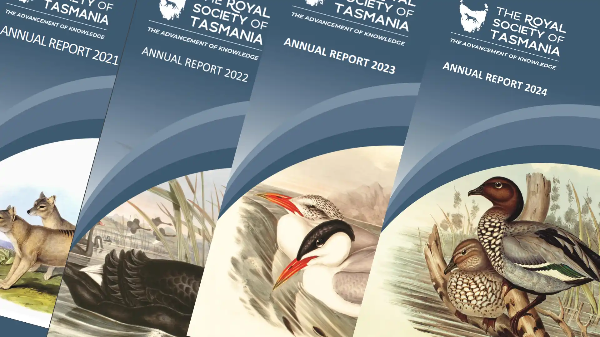 annual reports angled background