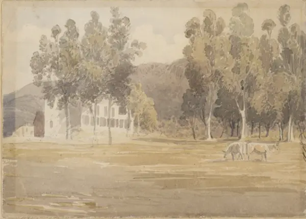 AG1599
