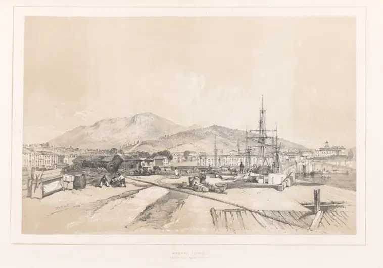 Hobart Town from the New Wharf.