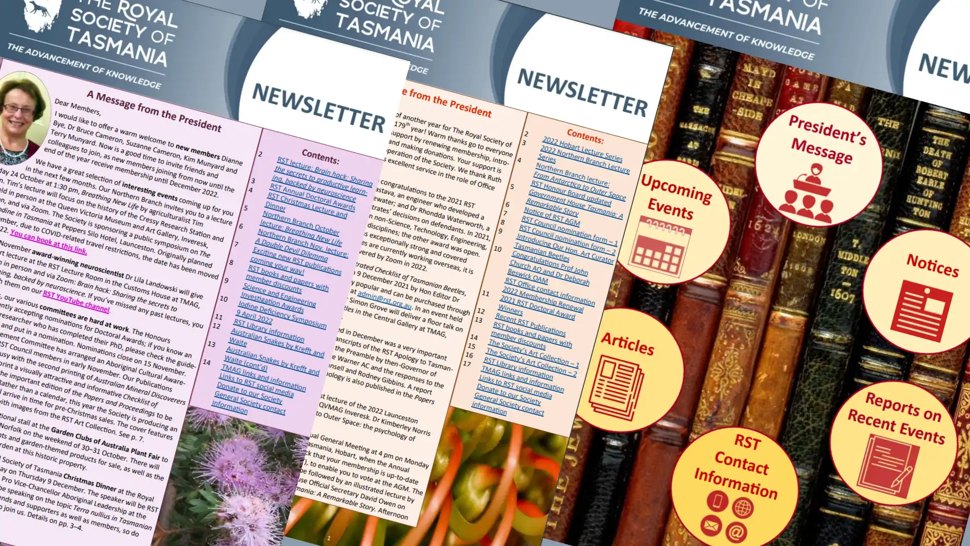 newsletter background